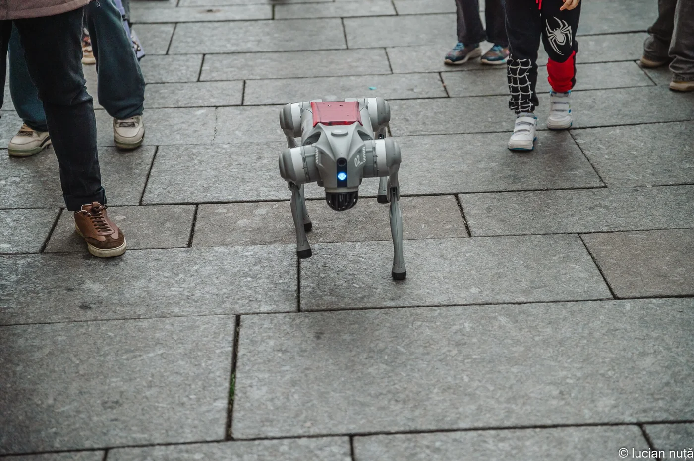 Robot cuadrúpedo Unitree Go2 en una demostración pública rodeado de espectadores